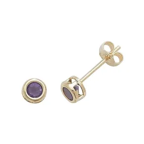 9ct  Yellow  Gold  Amethyst  Stud  Earrings  ES425AM