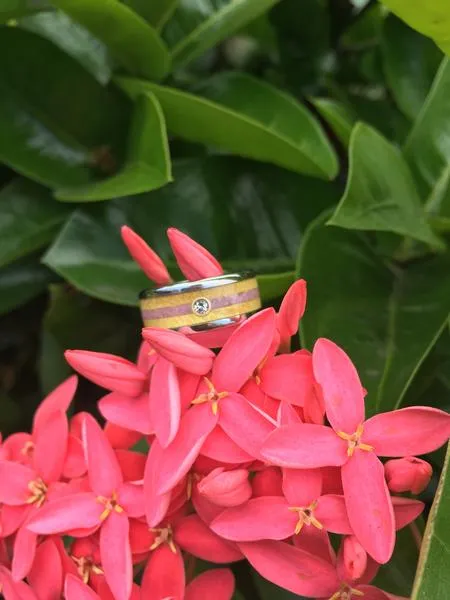 Diamond Titanium Ring with Pink Sugilite