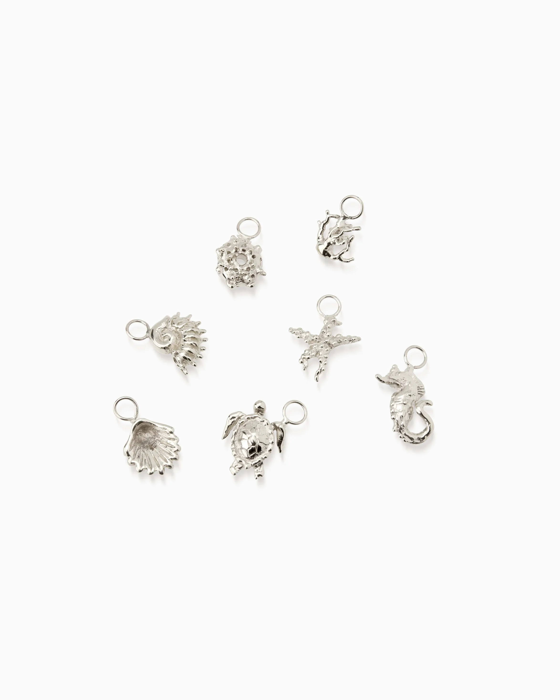 Turtle Earring | Silver